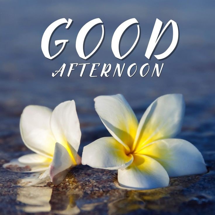 good afternoon images animated good afternoon images animated
