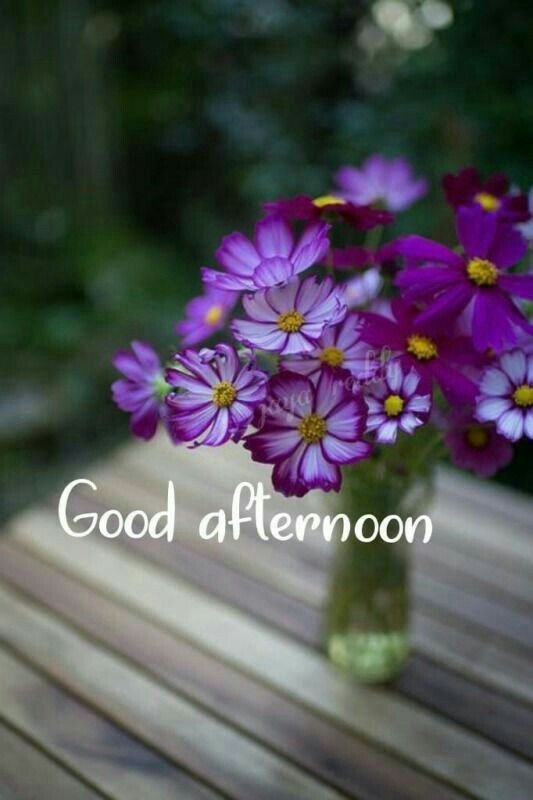 good afternoon images blessings good afternoon images blessings