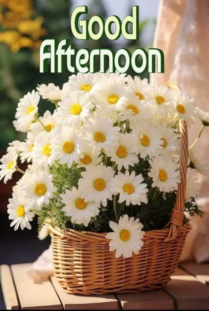 good afternoon images cartoon good afternoon images cartoon