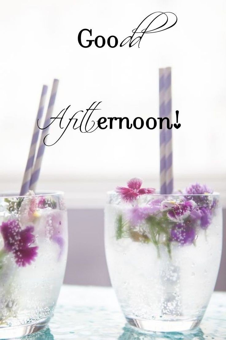 good afternoon photos with quotes good afternoon photos with quotes