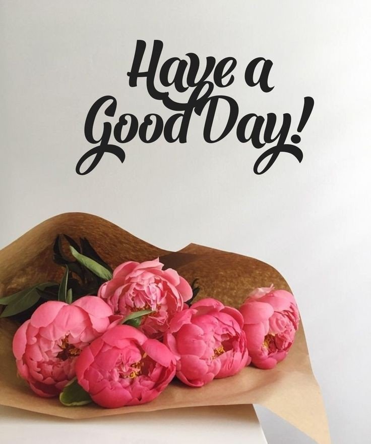 good afternoon pic good afternoon pic
