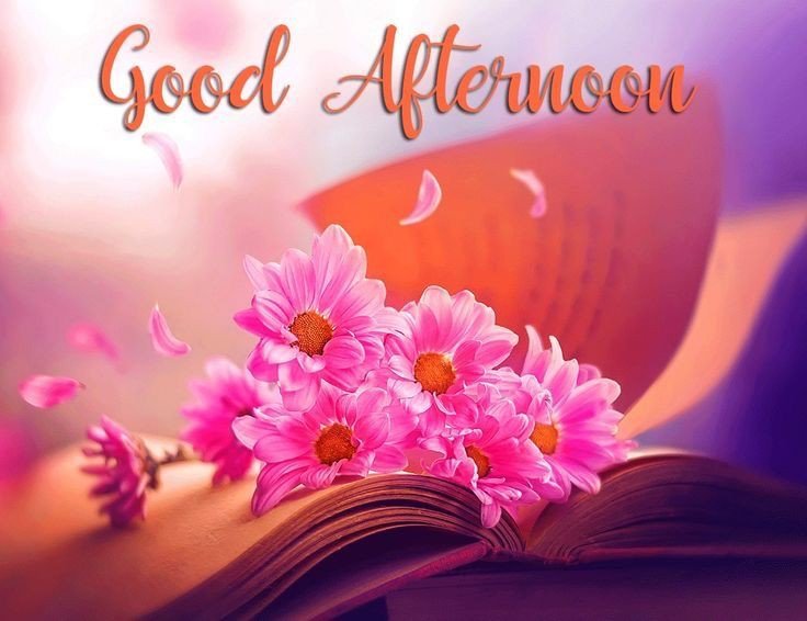 good afternoon pictures and quotes good afternoon pictures and quotes