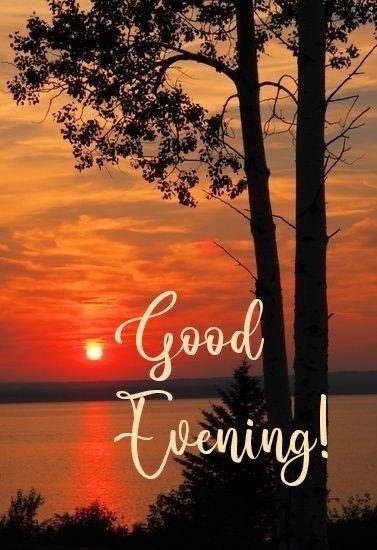 good evening darling images good evening darling images