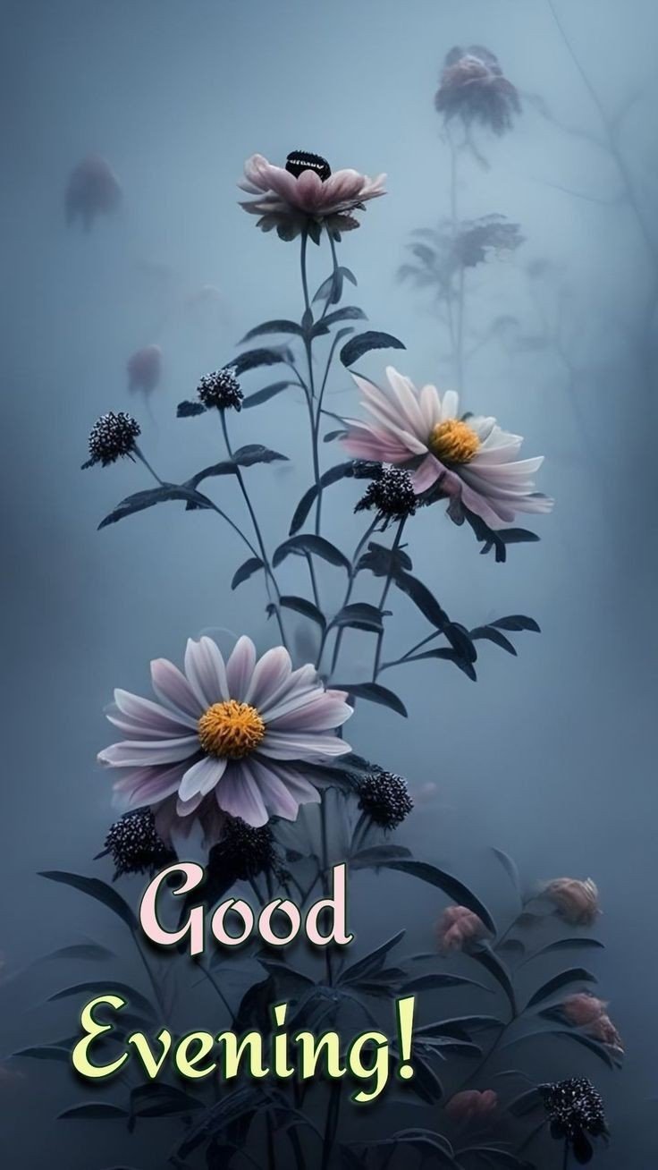 good evening images good evening images