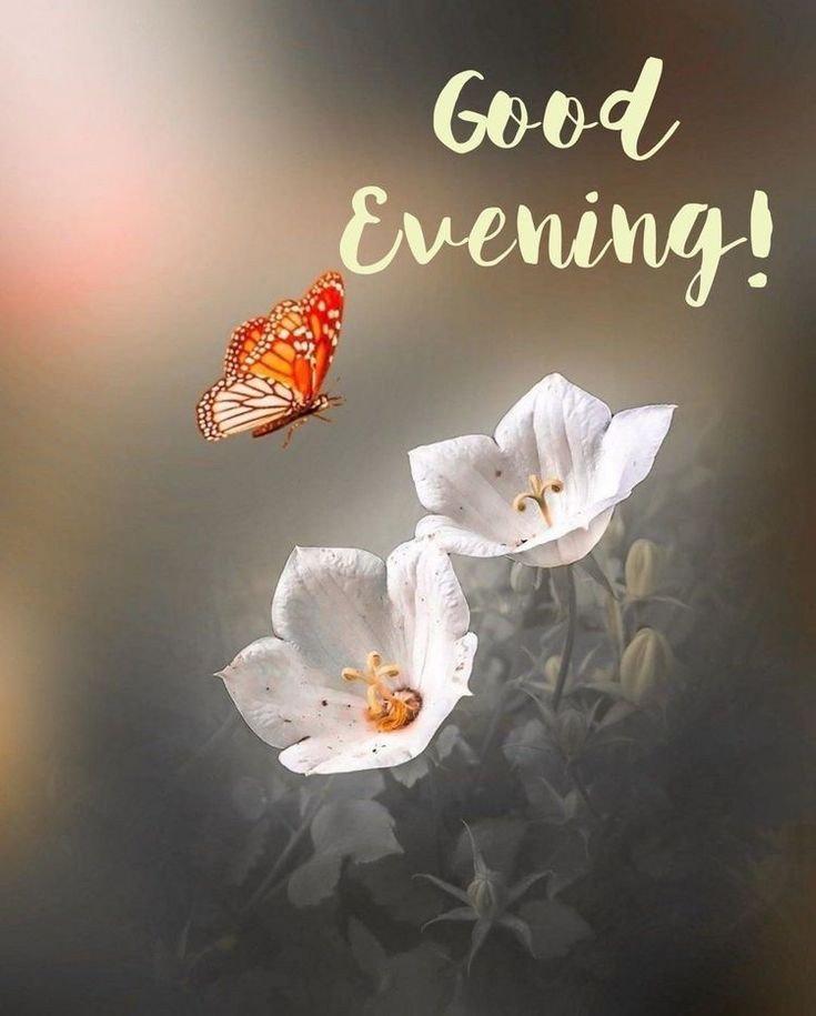 good evening images ai good evening images ai