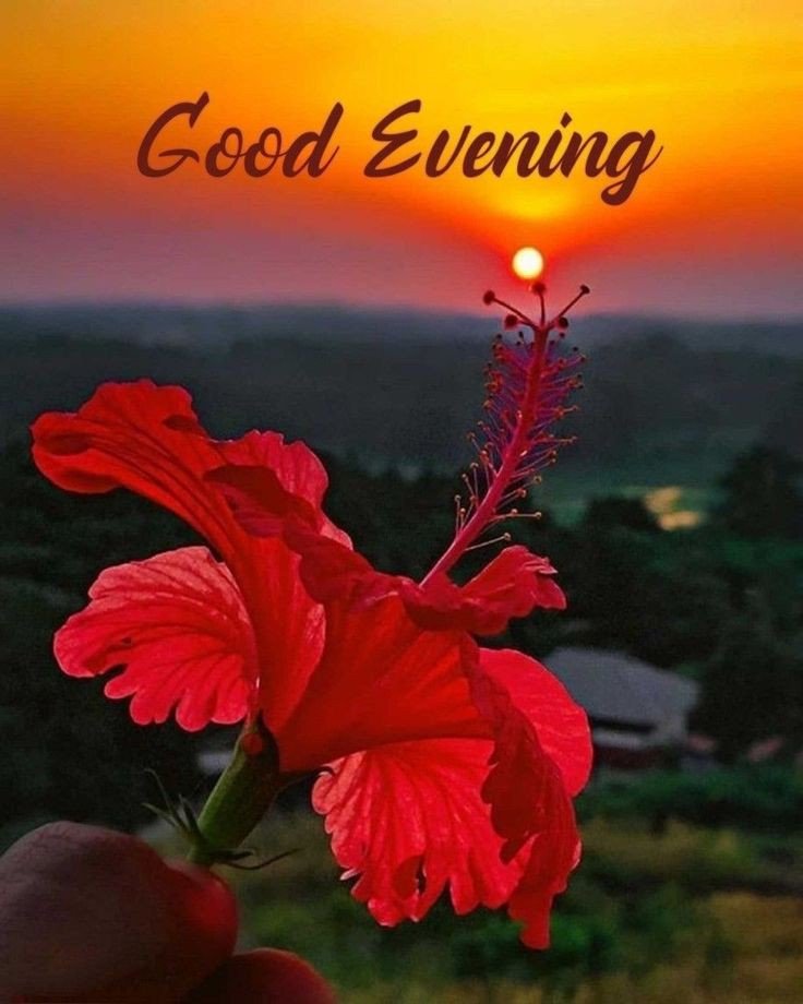 good evening images and wishes good evening images and wishes