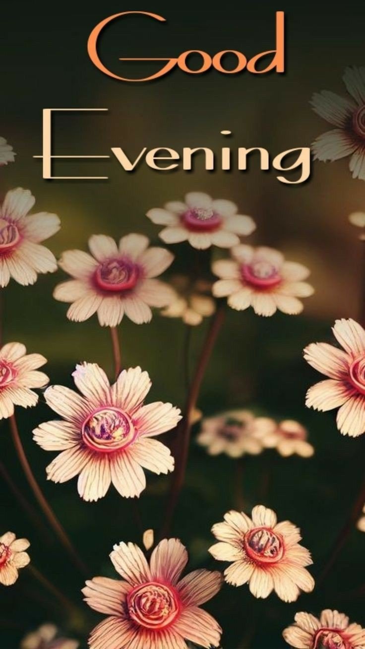 good evening images beach good evening images beach
