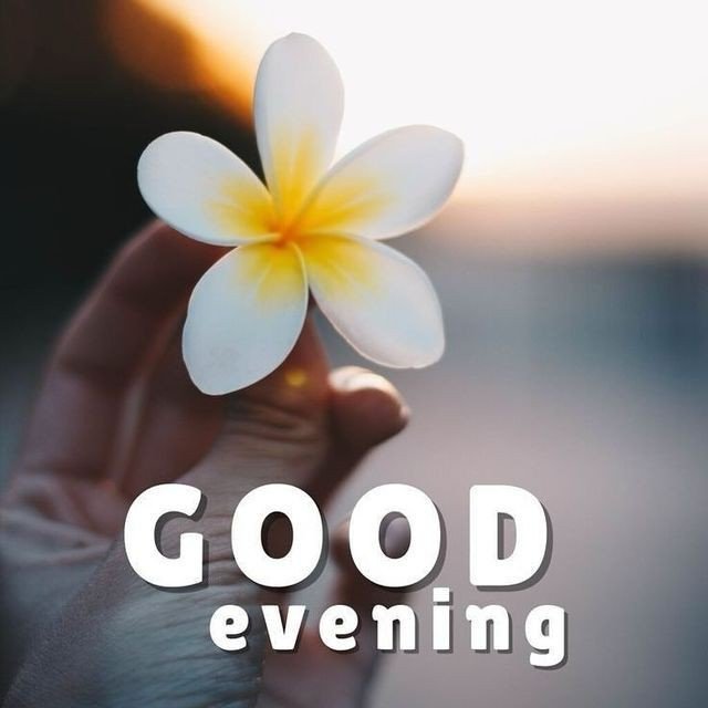 good evening images bengali for whatsapp good evening images bengali for whatsapp