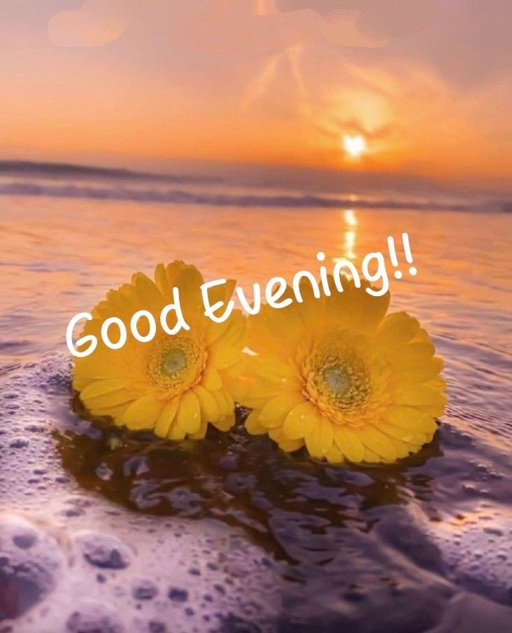 good evening images bengali for whatsapp good evening images bengali for whatsapp