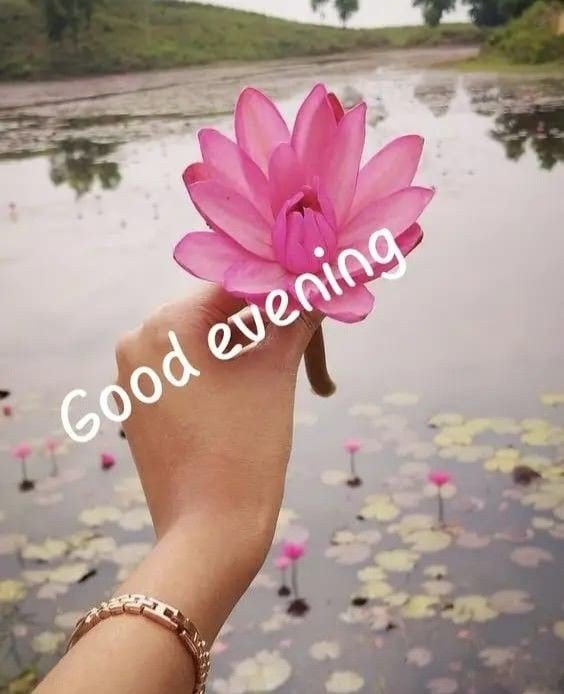 good evening images bengali for whatsapp good evening images bengali for whatsapp