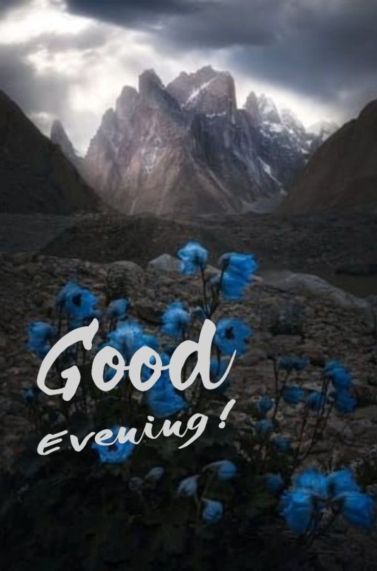 good evening images bengali love good evening images bengali love