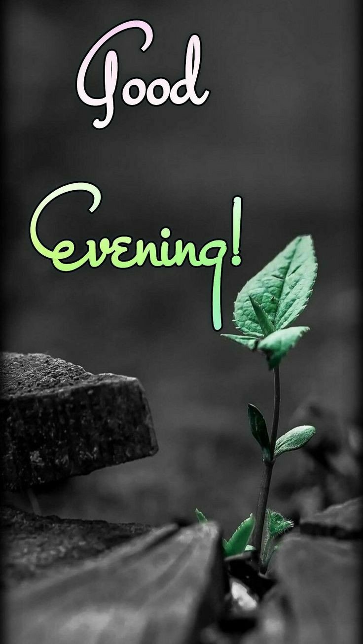 good evening images blessings good evening images blessings