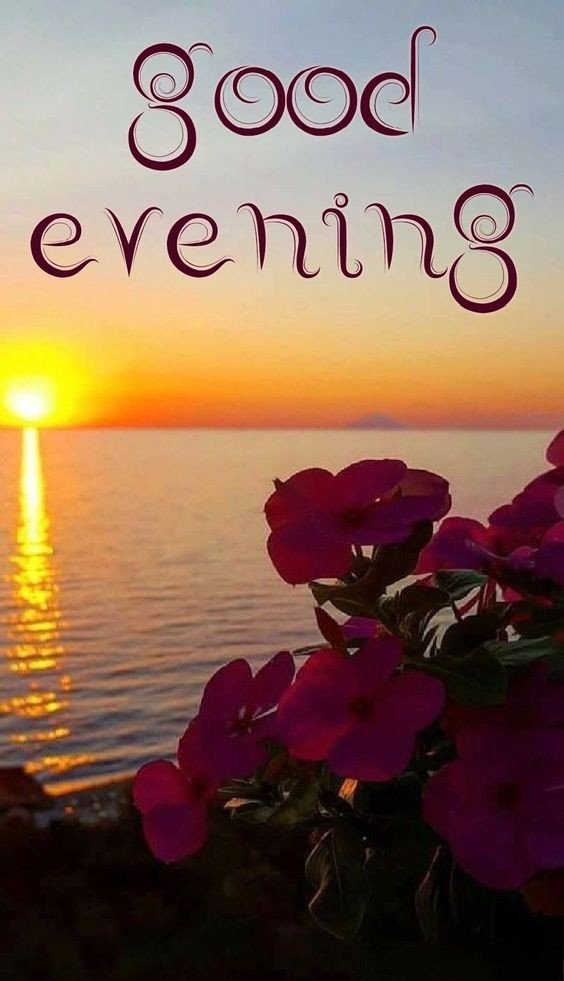 good evening images christmas good evening images christmas