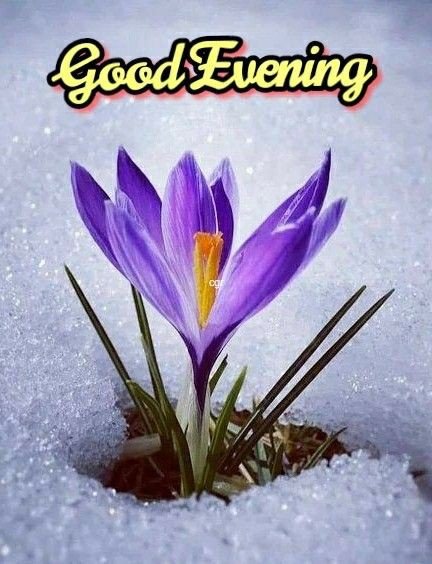 good evening images clipart good evening images clipart