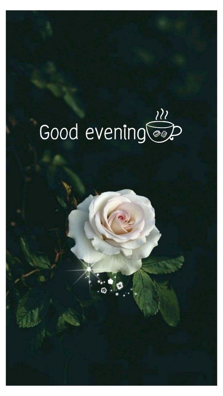 good evening images dear good evening images dear