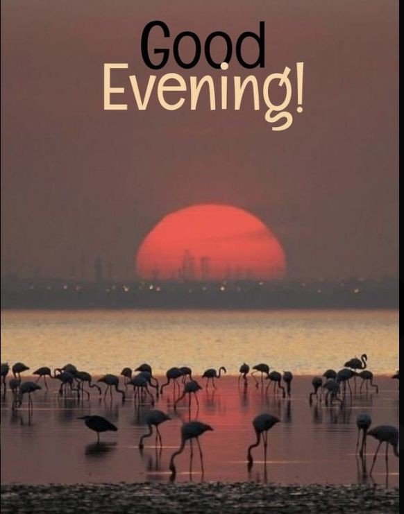 good evening images download for whatsapp good evening images download for whatsapp