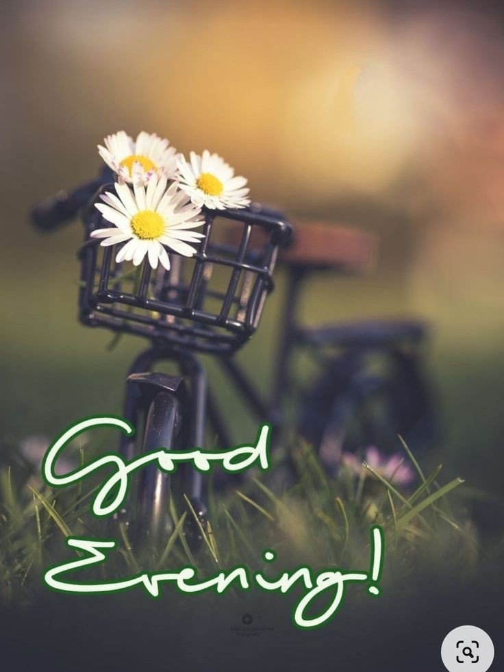 good evening images for whatsapp download good evening images for whatsapp download