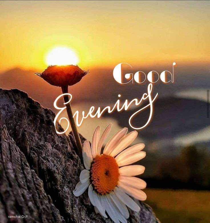 good evening messages and images good evening messages and images