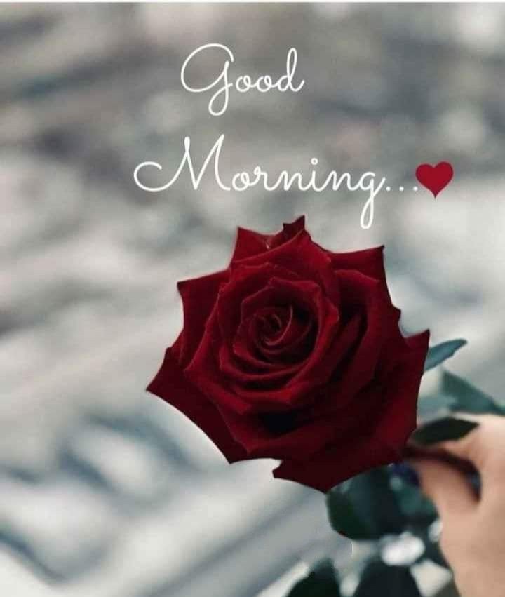 good morning images and quotes good morning images and quotes