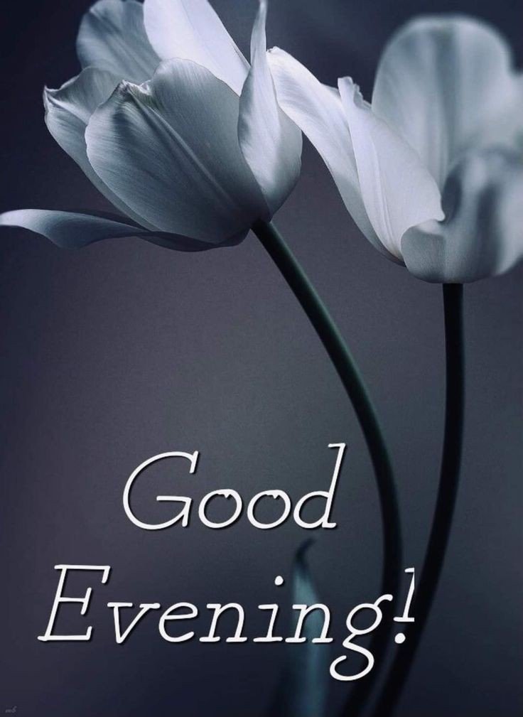 good morning images arabic good morning images arabic
