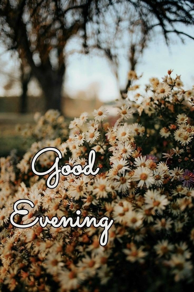 good morning images download for whatsapp good morning images download for whatsapp
