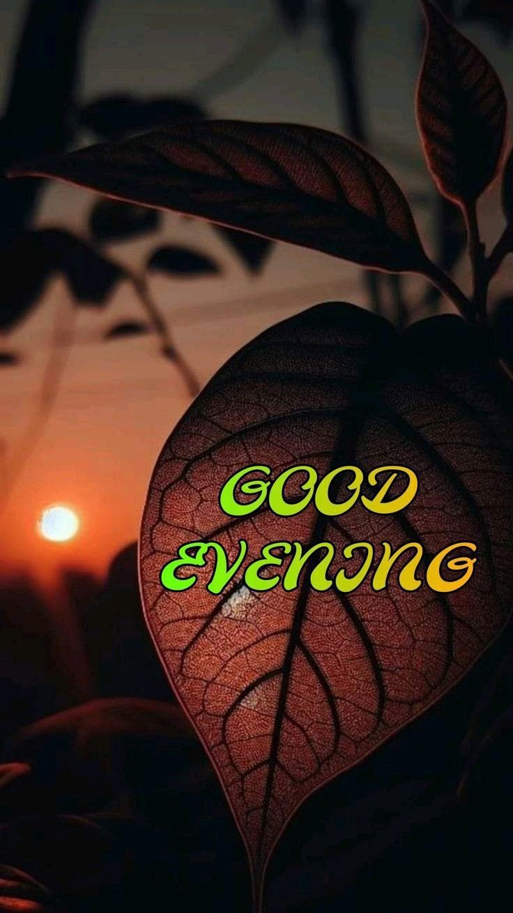 good morning images download for whatsapp good morning images download for whatsapp