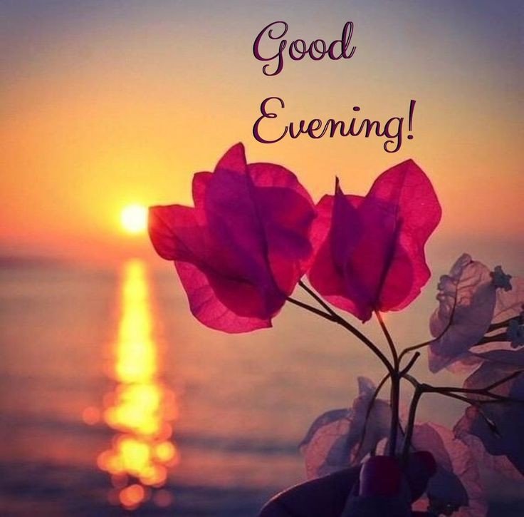 good morning images download good morning images download