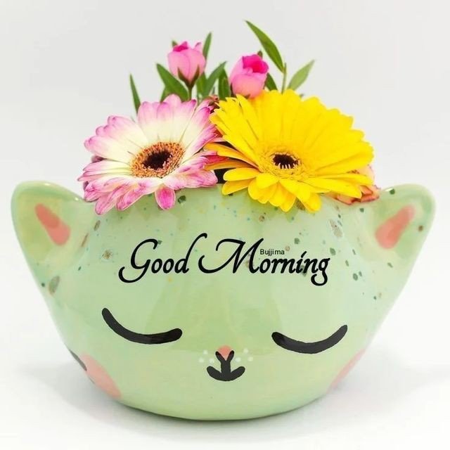 good morning photo aaj ka good morning photo aaj ka