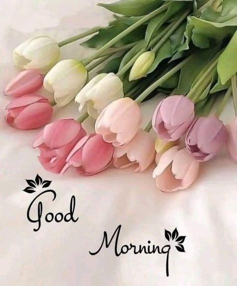 good morning photo arabic good morning photo arabic
