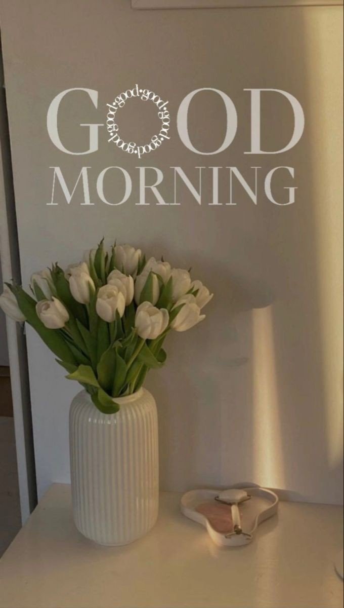 good morning photo thursday good morning photo thursday