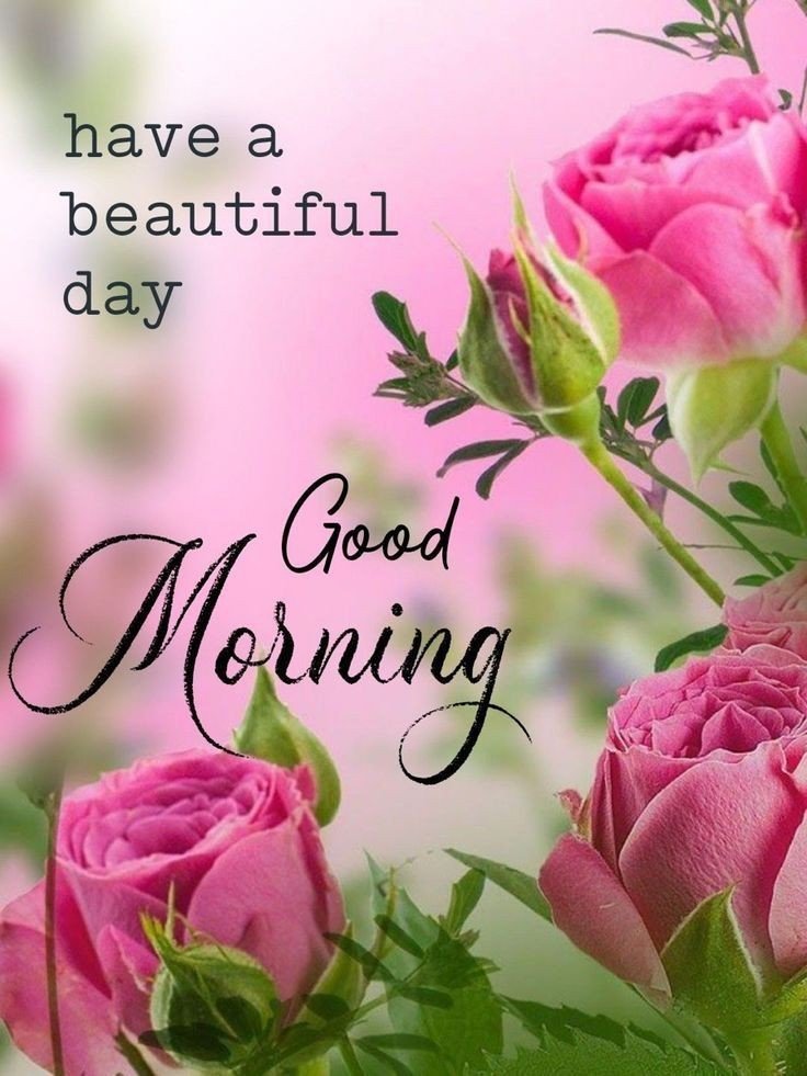 good morning photos with quotes good morning photos with quotes