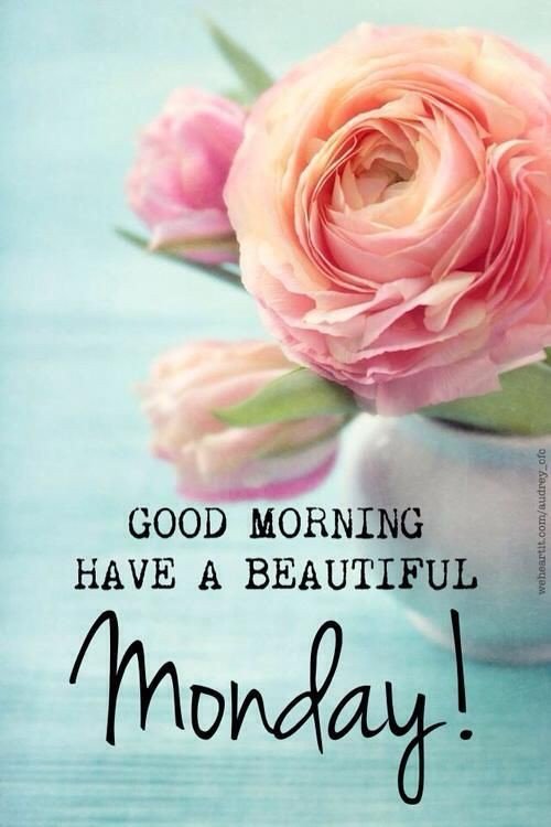good morning pics free good morning pics free