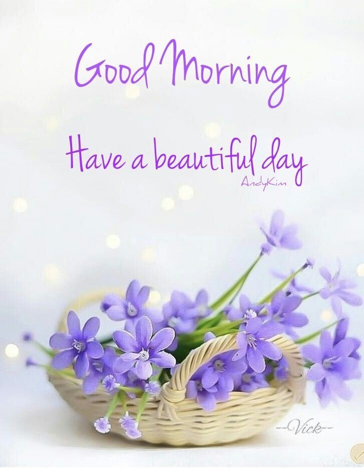 good morning pictures funny good morning pictures funny