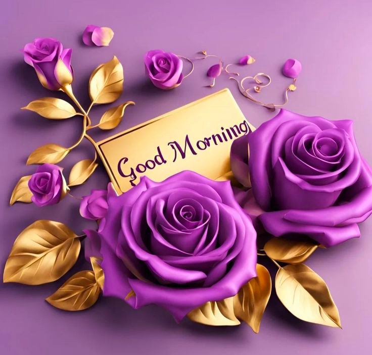 good morning pictures images good morning pictures images