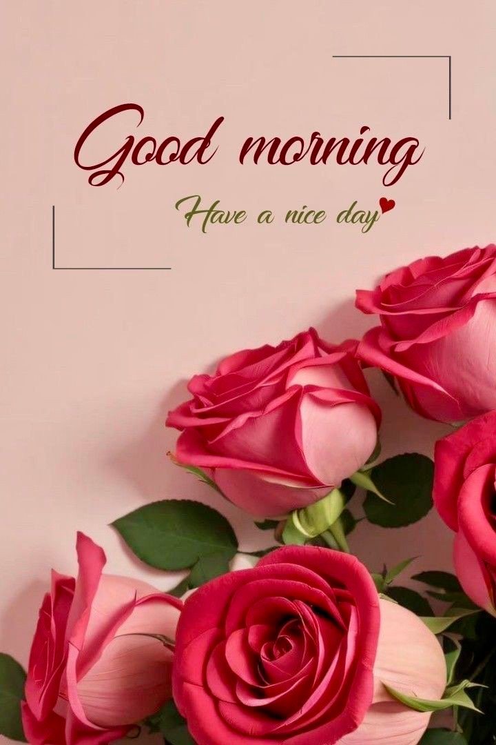 good morning pictures good morning pictures