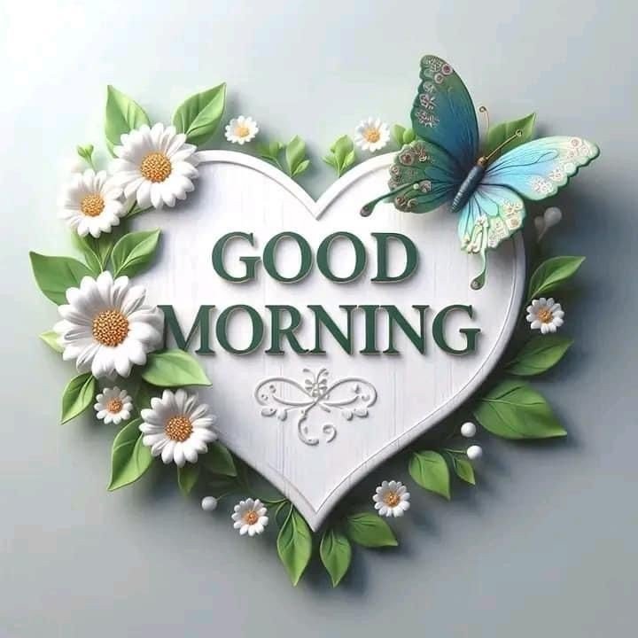 good morning thursday flowers images and messages good morning thursday flowers images and messages