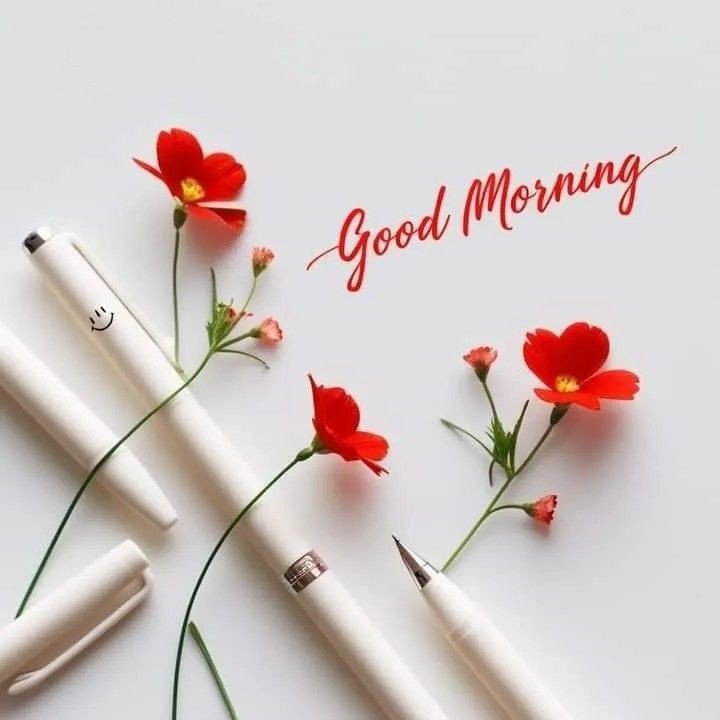 good morning wednesday flowers images good morning wednesday flowers images