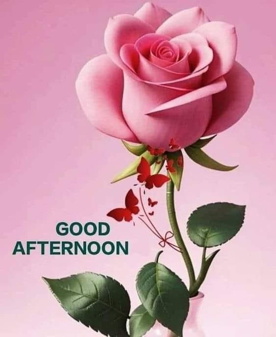 good night images and quotes good night images and quotes