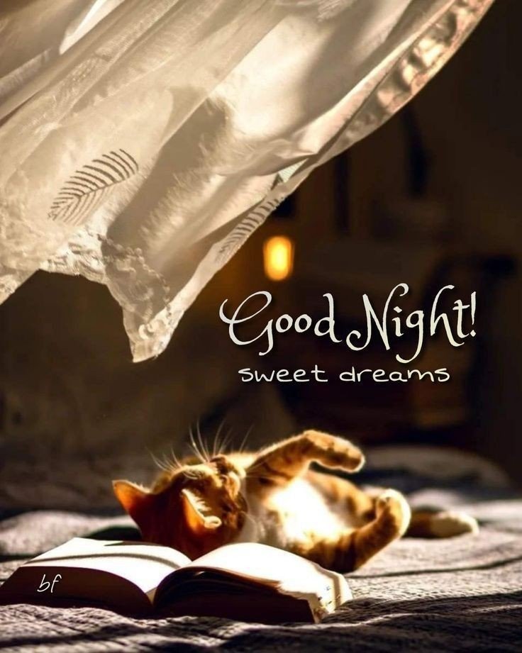 good night images christian good night images christian