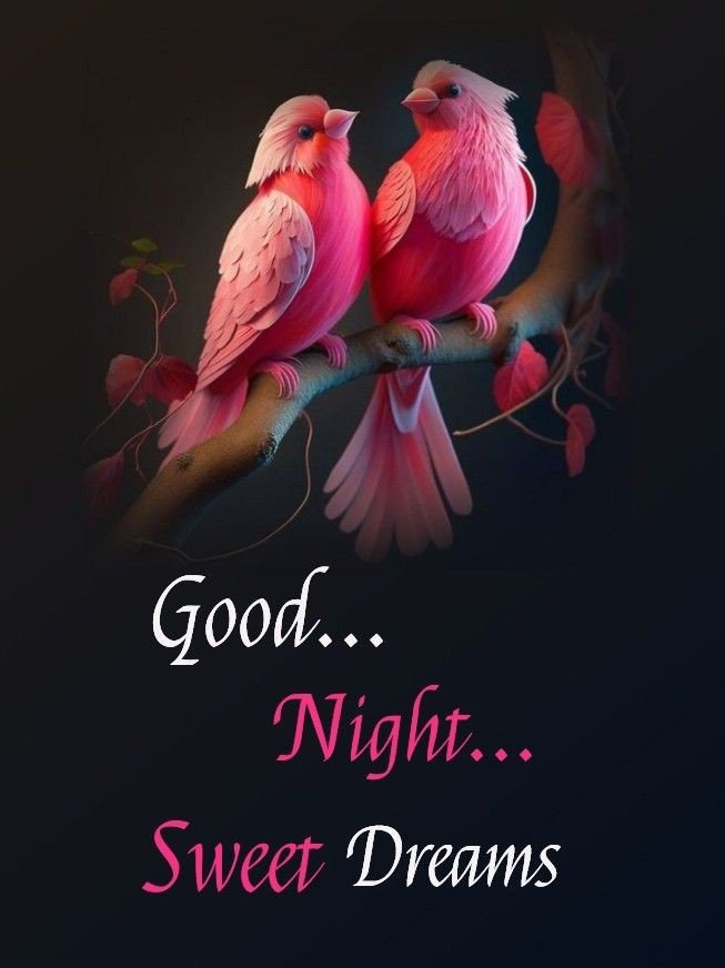 good night images cute good night images cute