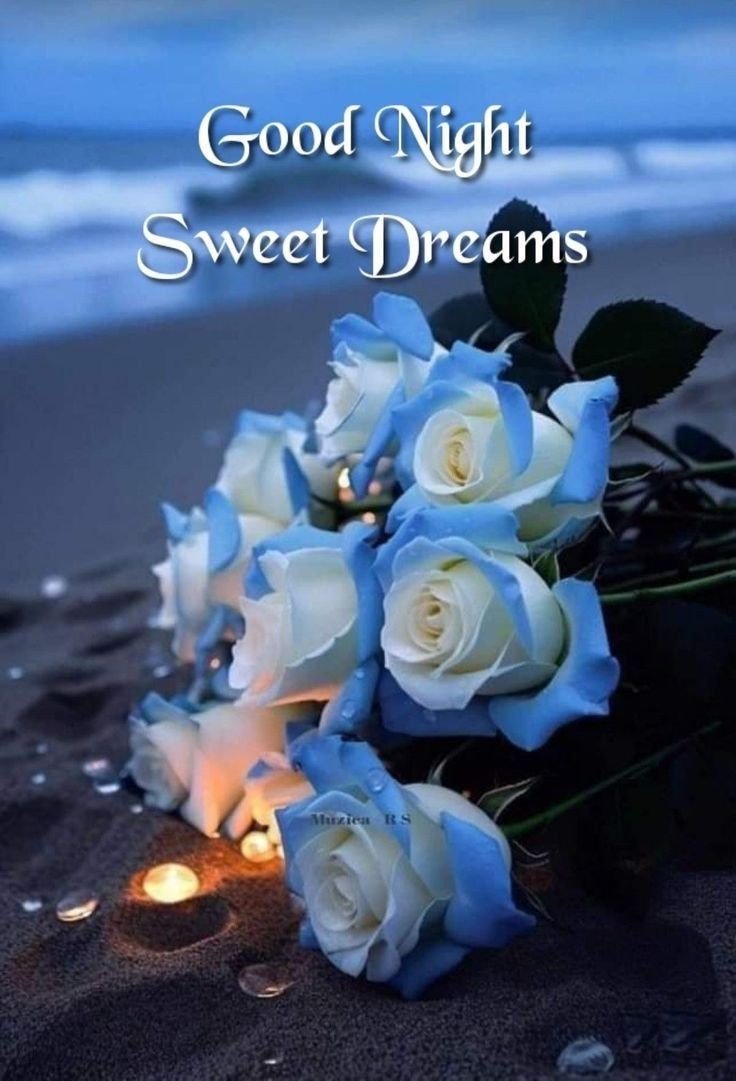 good night images cute cartoon good night images cute cartoon