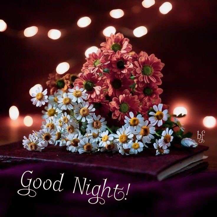 good night images cute girl good night images cute girl