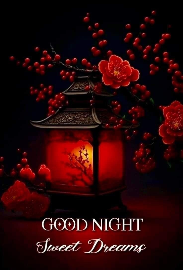 good night images cute good night images cute