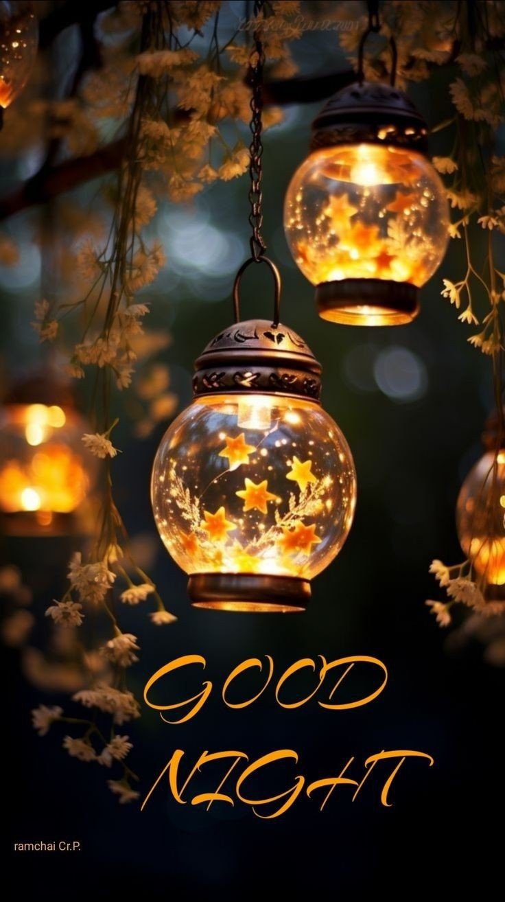 good night images dogs good night images dogs