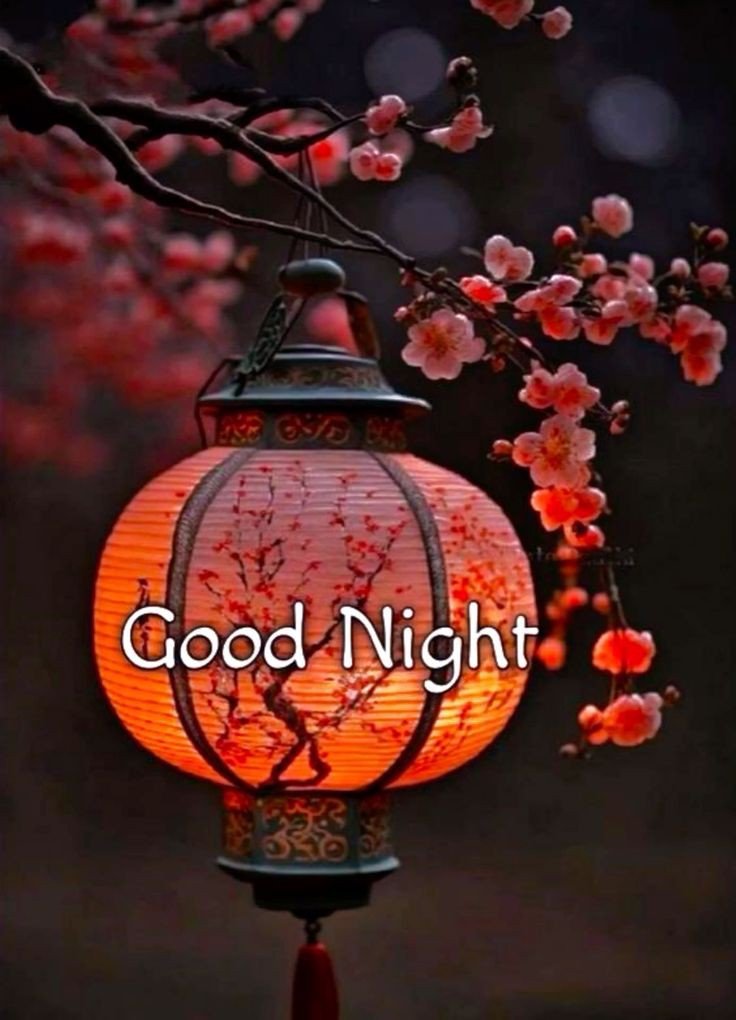 good night photo bhejiye good night photo bhejiye