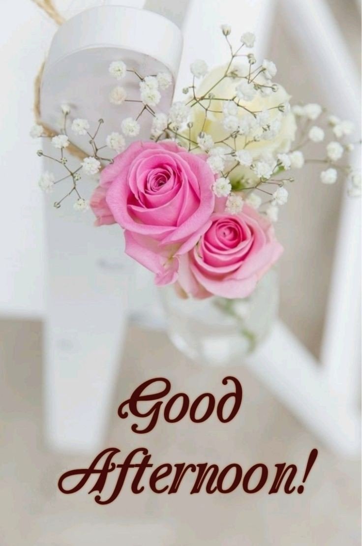 good night pic beautiful good night pic beautiful