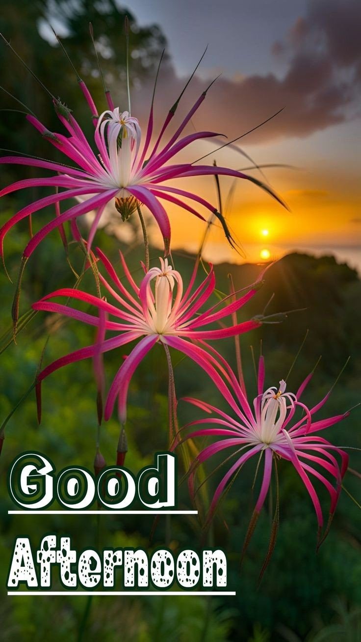 good night pic bengali good night pic bengali
