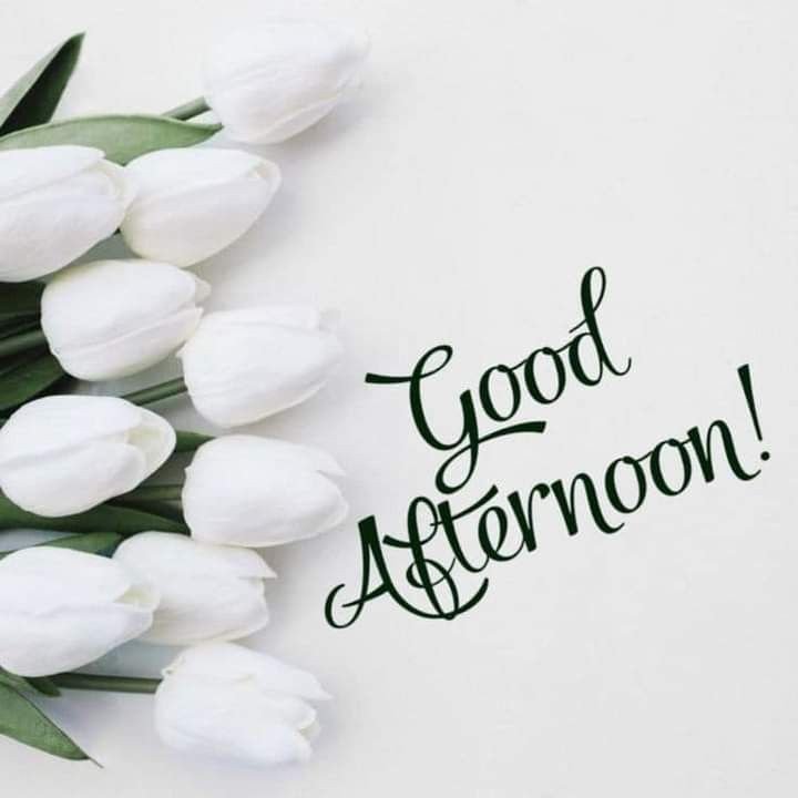 happy sunday good afternoon pic happy sunday good afternoon pic