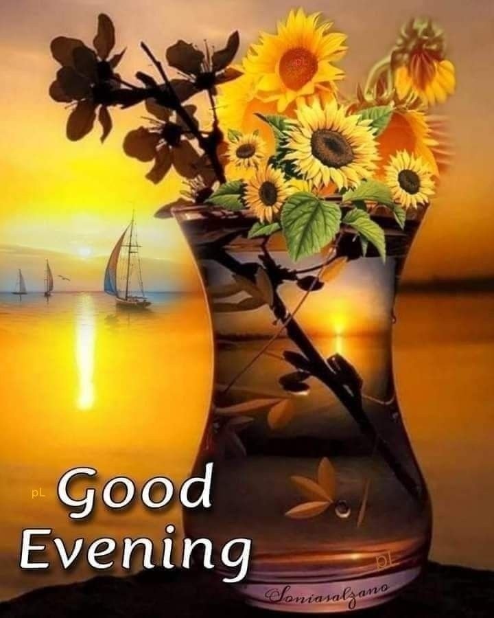 have a good evening images have a good evening images
