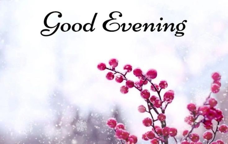 have a good evening images have a good evening images